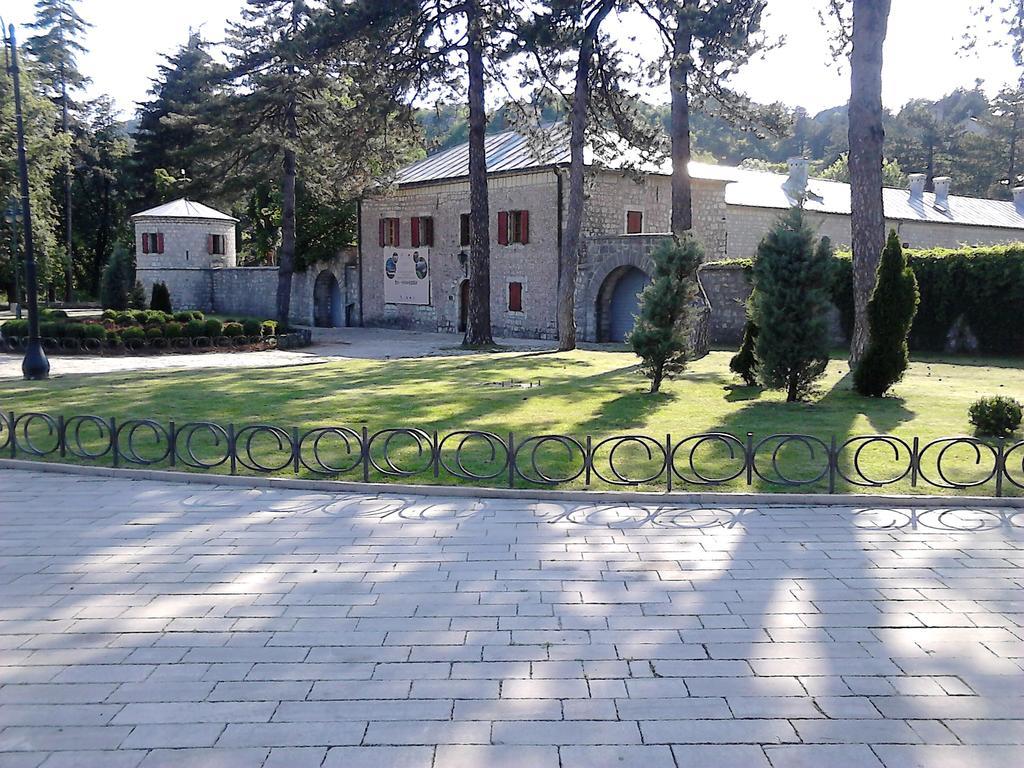 Apartments Mirkovic Τσέτινιε Εξωτερικό φωτογραφία