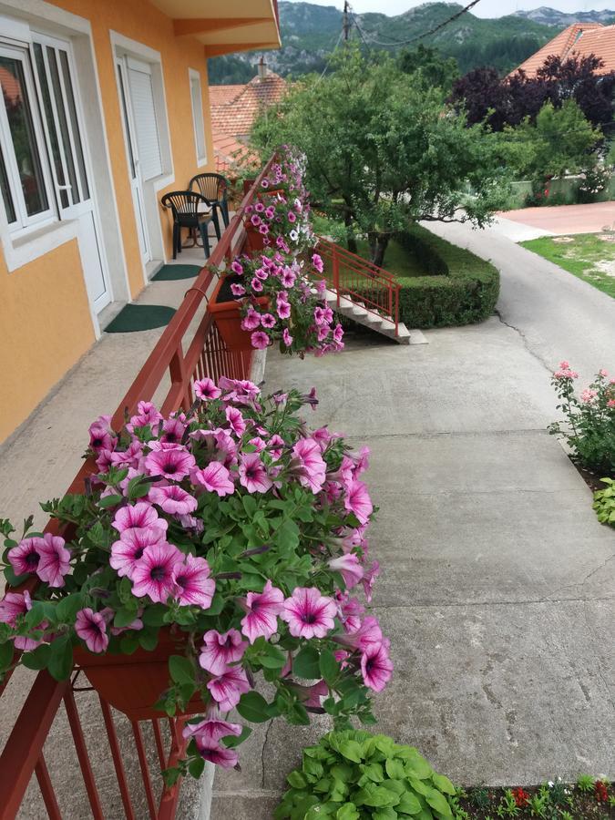 Apartments Mirkovic Τσέτινιε Εξωτερικό φωτογραφία