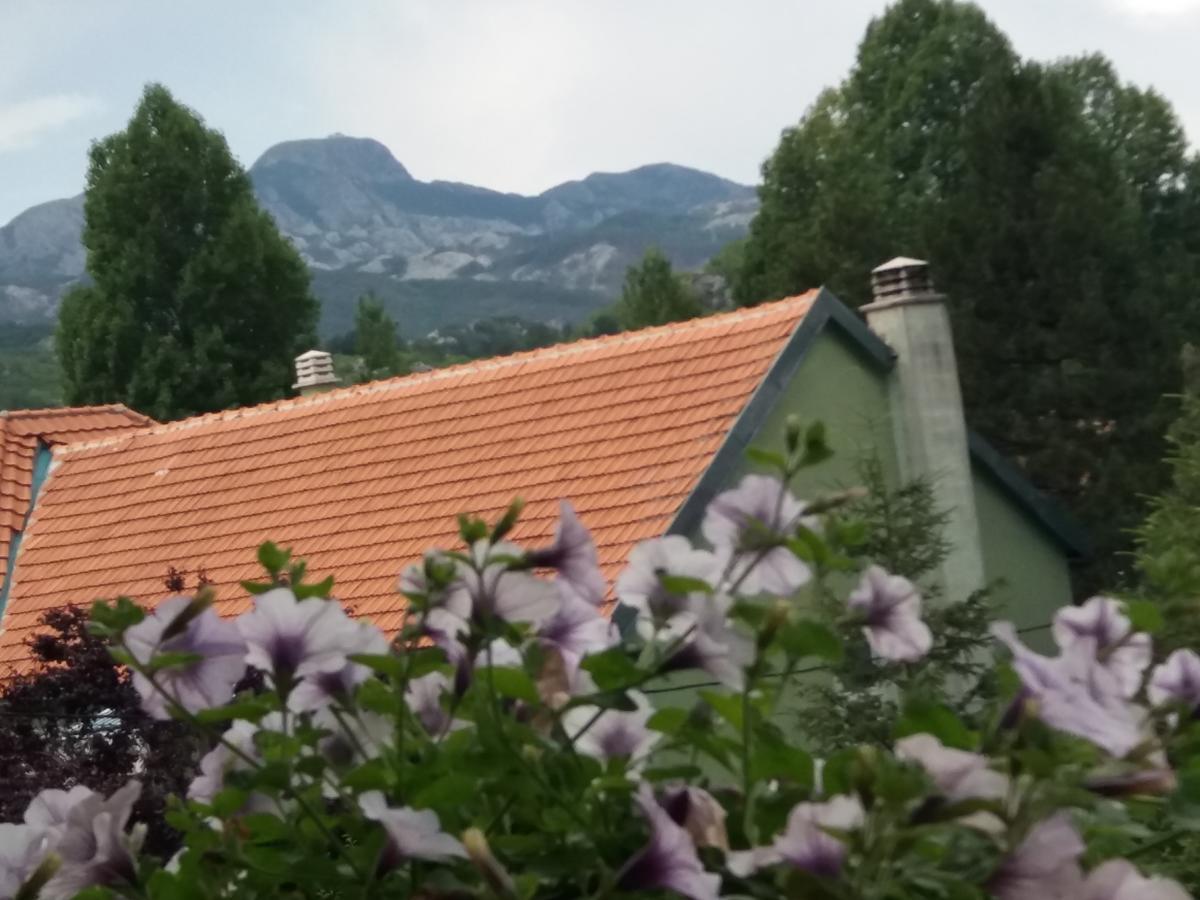 Apartments Mirkovic Τσέτινιε Εξωτερικό φωτογραφία