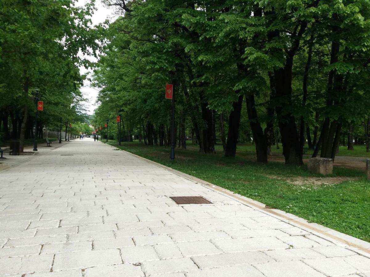 Apartments Mirkovic Τσέτινιε Εξωτερικό φωτογραφία