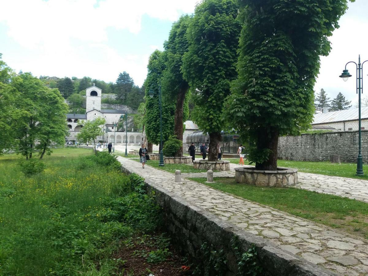 Apartments Mirkovic Τσέτινιε Εξωτερικό φωτογραφία