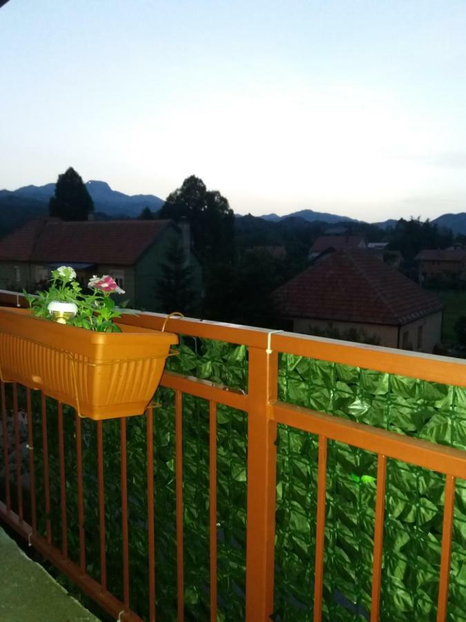 Apartments Mirkovic Τσέτινιε Εξωτερικό φωτογραφία