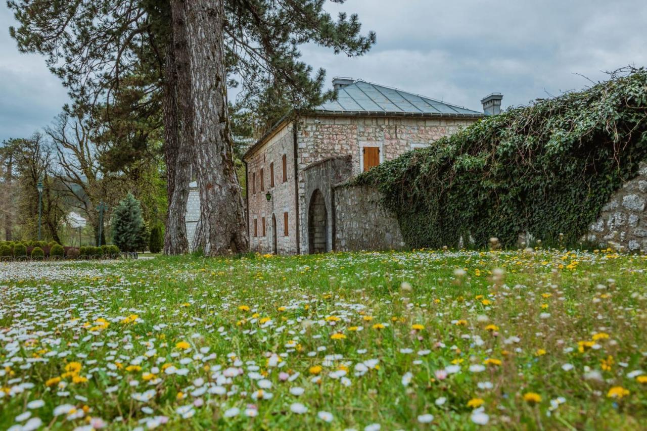 Apartments Mirkovic Τσέτινιε Εξωτερικό φωτογραφία