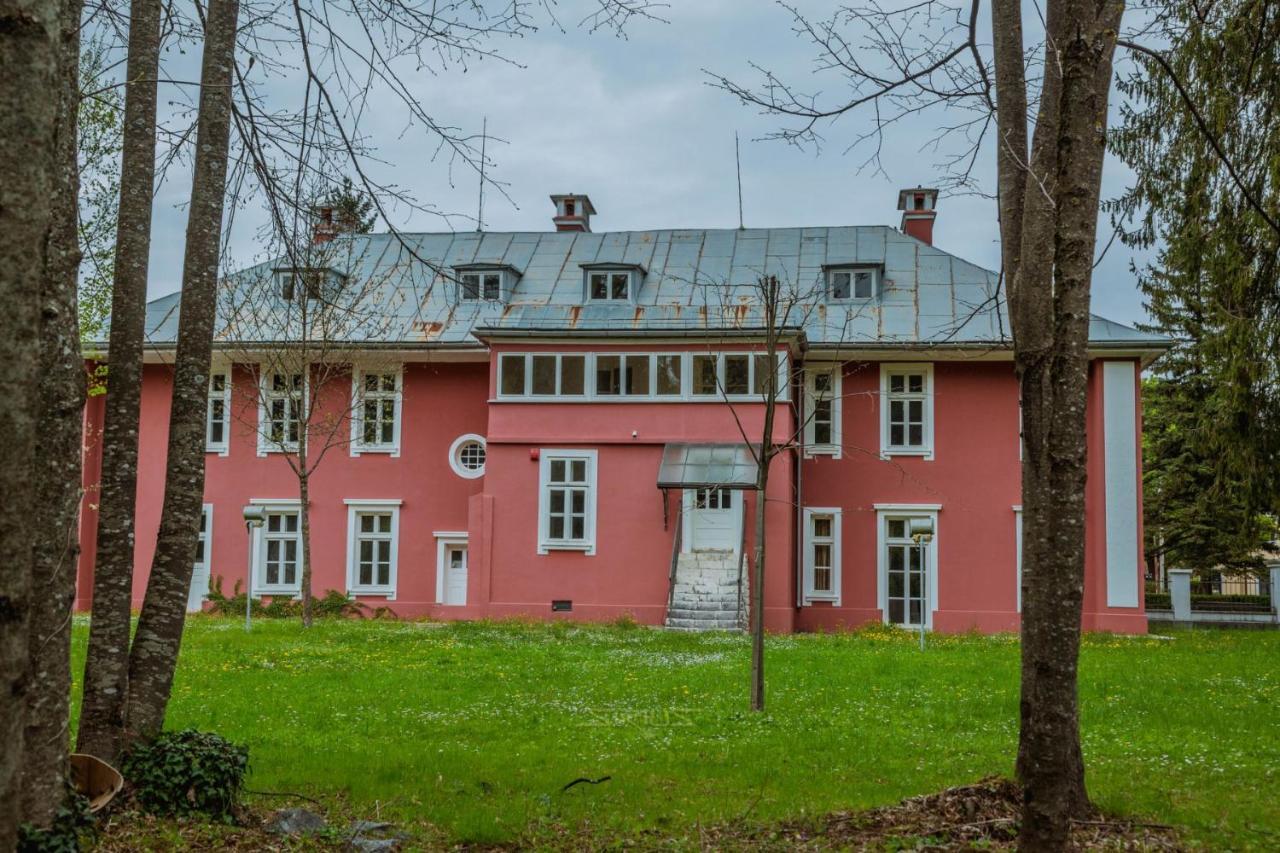 Apartments Mirkovic Τσέτινιε Εξωτερικό φωτογραφία
